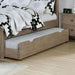 VEVEY Trundle/Drawer - Casa Morelos / Coahuila Furniture (Oklahoma City, OK)