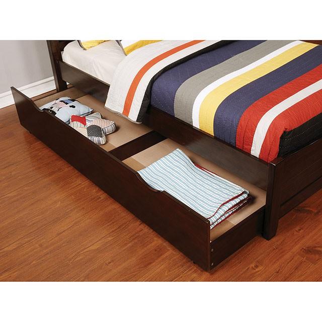 BROGAN Brown Cherry Trundle/Drawers - Casa Morelos / Coahuila Furniture (Oklahoma City, OK)