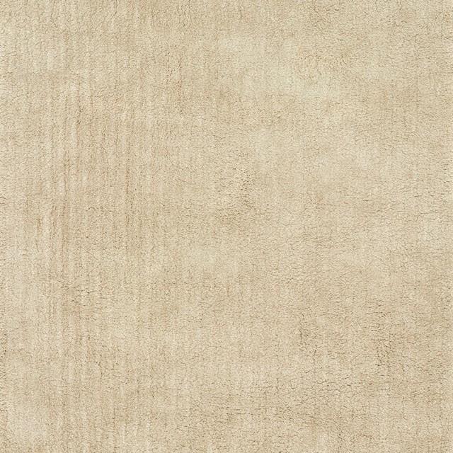 Zala Shag Medium Rug - Casa Morelos / Coahuila Furniture (Oklahoma City, OK)