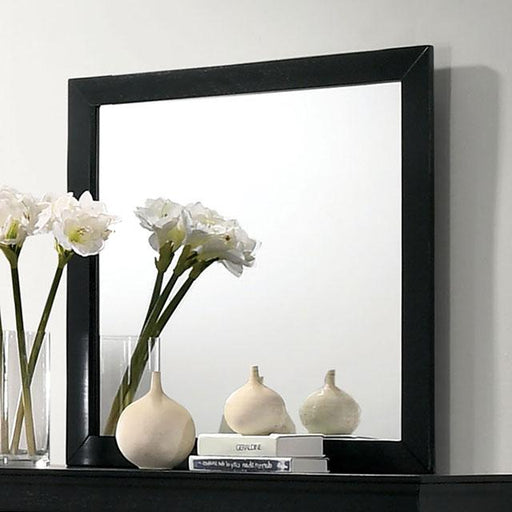 Louis Philippe Mirror - Casa Morelos / Coahuila Furniture (Oklahoma City, OK)