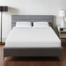 Artemisia 10" E.King, Full, Twin, & Queen Memory Foam Mattress - Casa Morelos / Coahuila Furniture (Oklahoma City, OK)