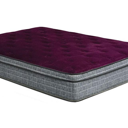 Purple/Grey 13" Euro Pillow Top Mattress Non-Flip, Full - Casa Morelos / Coahuila Furniture (Oklahoma City, OK)