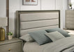 Rainier Bed - Casa Morelos / Coahuila Furniture (Oklahoma City, OK)