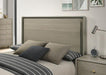 Rainier Queen Bedroom Set Gray - Casa Morelos / Coahuila Furniture (Oklahoma City, OK)