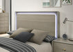 Rainier Queen Bedroom Set Gray - Casa Morelos / Coahuila Furniture (Oklahoma City, OK)