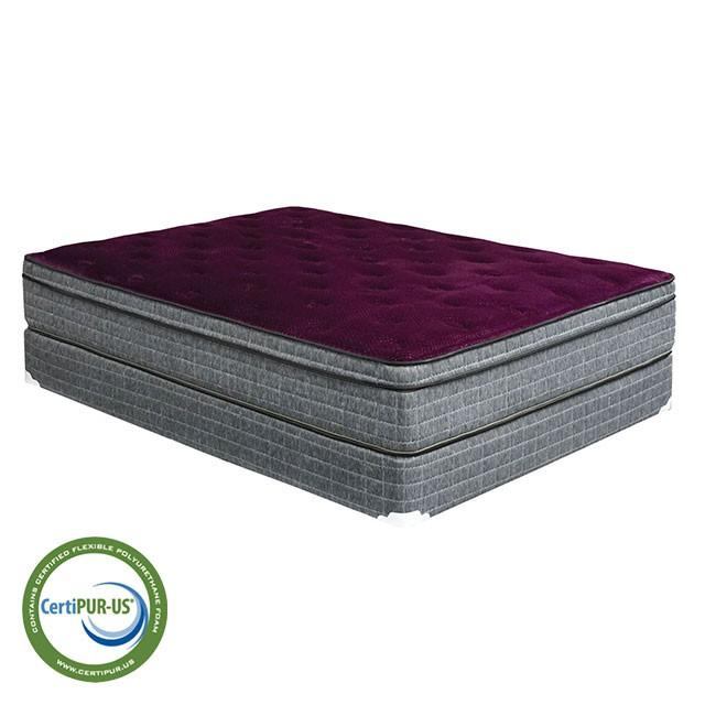 Purple/Grey 13" Euro Pillow Top Mattress Non-Flip, Full - Casa Morelos / Coahuila Furniture (Oklahoma City, OK)