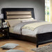 Golva Bed Cal.King & E.King - Casa Morelos / Coahuila Furniture (Oklahoma City, OK)