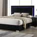 Sinistra Bed Beige, Black, White - Casa Morelos / Coahuila Furniture (Oklahoma City, OK)