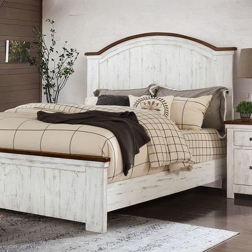 ALYSON Cal.King, E.King, & Queen Bed - Casa Morelos / Coahuila Furniture (Oklahoma City, OK)