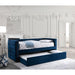 Susanna Navy Daybed w/ Trundle, Navy - Casa Morelos / Coahuila Furniture (Oklahoma City, OK)