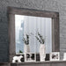 Janeiro Gray Mirror - Casa Morelos / Coahuila Furniture (Oklahoma City, OK)