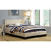 Evans E.King & Cal.King Bed Espressso, White, & Camel - Casa Morelos / Coahuila Furniture (Oklahoma City, OK)