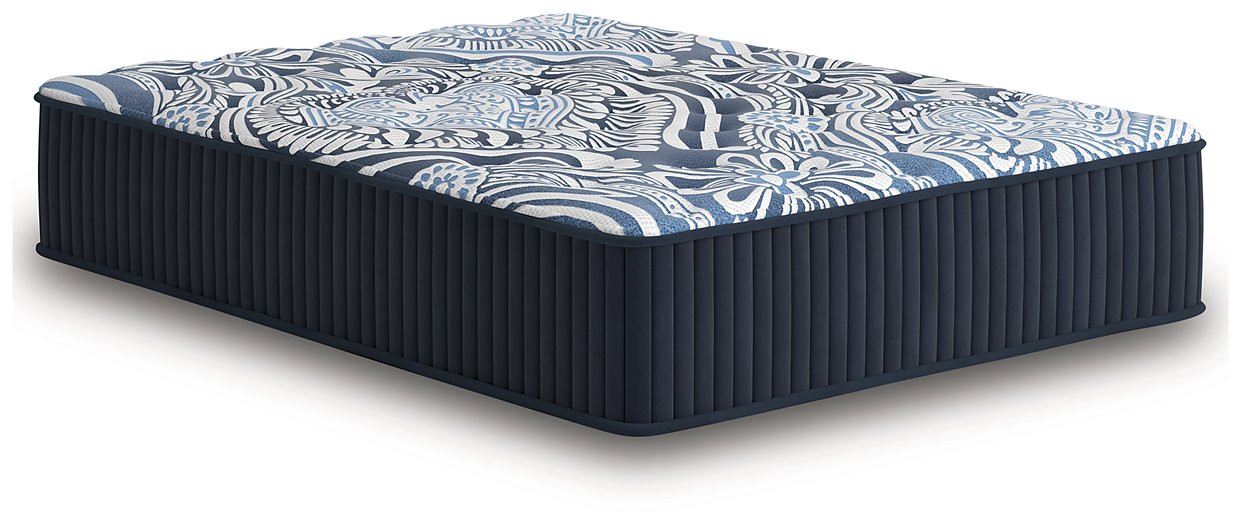 Firm Luxe 2.0 Mattress - Casa Morelos / Coahuila Furniture (Oklahoma City, OK)