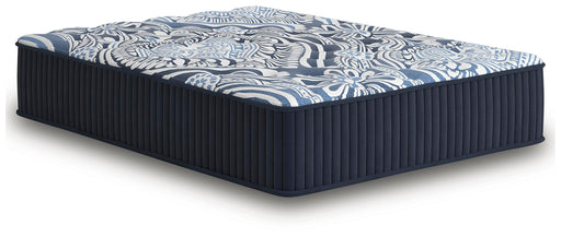 Firm Luxe 2.0 Mattress - Casa Morelos / Coahuila Furniture (Oklahoma City, OK)