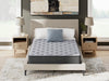 Comfort Plus Mattress - Casa Morelos / Coahuila Furniture (Oklahoma City, OK)