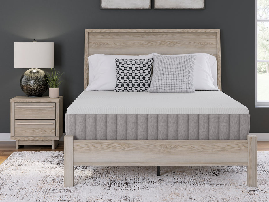 Terra Sleep Medium Mattress - Casa Morelos / Coahuila Furniture (Oklahoma City, OK)