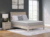 Terra Sleep Medium Mattress - Casa Morelos / Coahuila Furniture (Oklahoma City, OK)