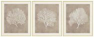 Hendridge Wall Art (Set of 3) - Casa Morelos / Coahuila Furniture (Oklahoma City, OK)