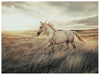 Errolville Wall Art - Casa Morelos / Coahuila Furniture (Oklahoma City, OK)