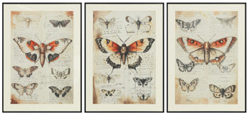 Jossletts Wall Art (Set of 3) - Casa Morelos / Coahuila Furniture (Oklahoma City, OK)