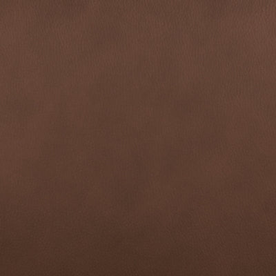 Pincara Power AutoGlide Recliner - Casa Morelos / Coahuila Furniture (Oklahoma City, OK)