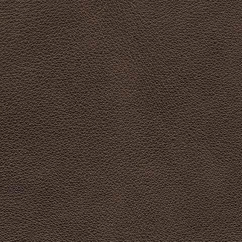 Crossplex Power Reclining Sofa - Casa Morelos / Coahuila Furniture (Oklahoma City, OK)