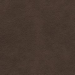 Crossplex Power Reclining Sofa - Casa Morelos / Coahuila Furniture (Oklahoma City, OK)