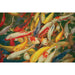 Koi Printed Canvas Painting - Casa Morelos / Coahuila Furniture (Oklahoma City, OK)