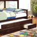 University Twin Trundle w/ 3 Drawers - Casa Morelos / Coahuila Furniture (Oklahoma City, OK)