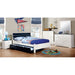 Kimmel Mirror - Casa Morelos / Coahuila Furniture (Oklahoma City, OK)