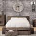 Janeiro Bed Brown & Grey - Casa Morelos / Coahuila Furniture (Oklahoma City, OK)
