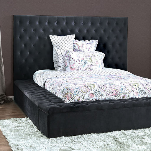 Davida Bed - Casa Morelos / Coahuila Furniture (Oklahoma City, OK)