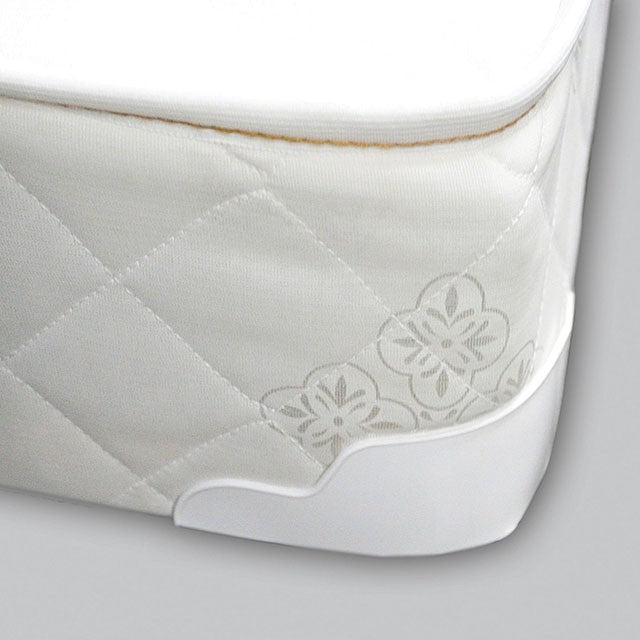 Daisy White 8" Bunkie Board Combo Mattress, Full - Casa Morelos / Coahuila Furniture (Oklahoma City, OK)