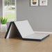 Hollyhock Mattress - Casa Morelos / Coahuila Furniture (Oklahoma City, OK)