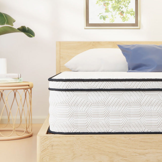 Salvia 12" Queen Hybrid Pocket Coil Mattress - Casa Morelos / Coahuila Furniture (Oklahoma City, OK)