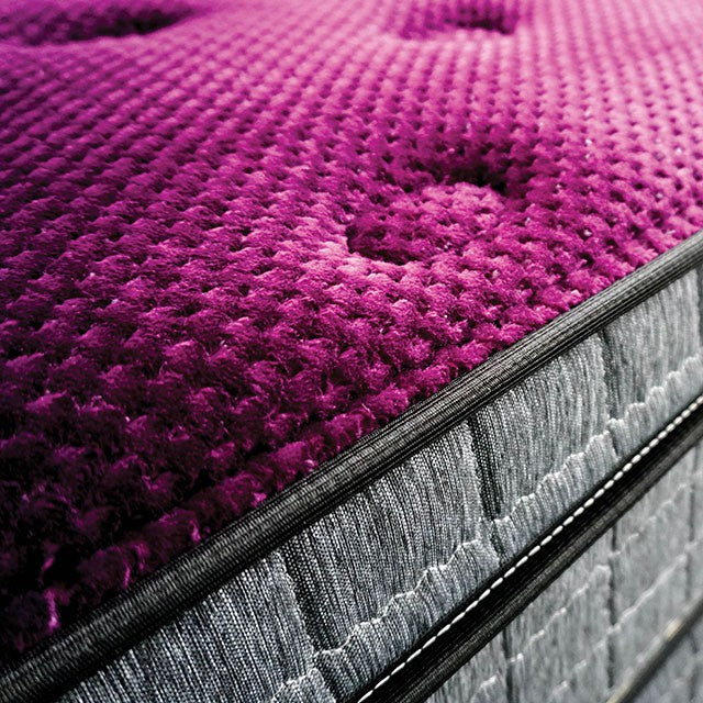Minnetonka 13" Euro Pillow Top Mattress - Casa Morelos / Coahuila Furniture (Oklahoma City, OK)