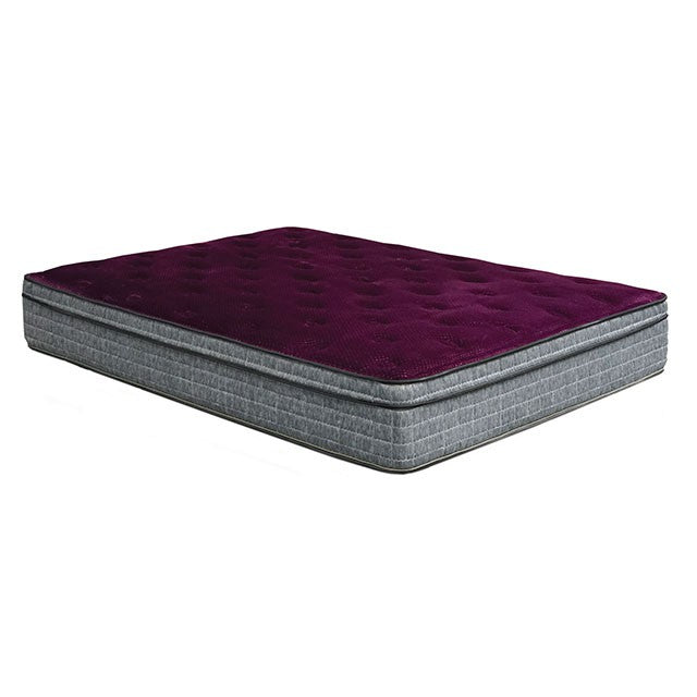 Minnetonka 13" Euro Pillow Top Mattress - Casa Morelos / Coahuila Furniture (Oklahoma City, OK)