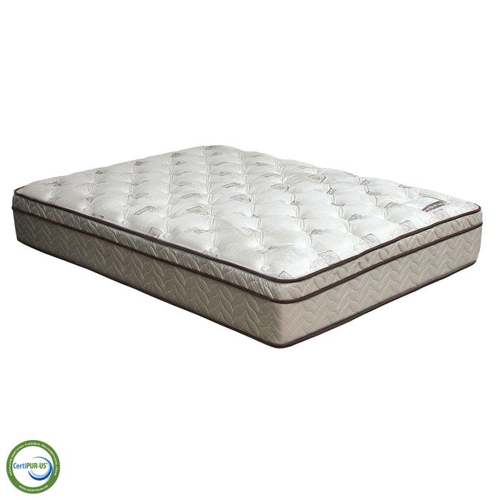 Lilium Euro Pillow Top Mattress - Casa Morelos / Coahuila Furniture (Oklahoma City, OK)