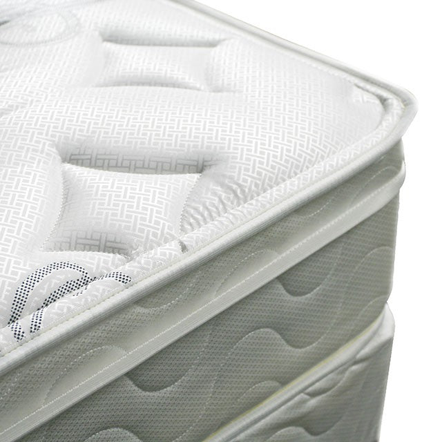 Jalen 9 Euro Top Mattress Non-Flip - Casa Morelos / Coahuila Furniture (Oklahoma City, OK)