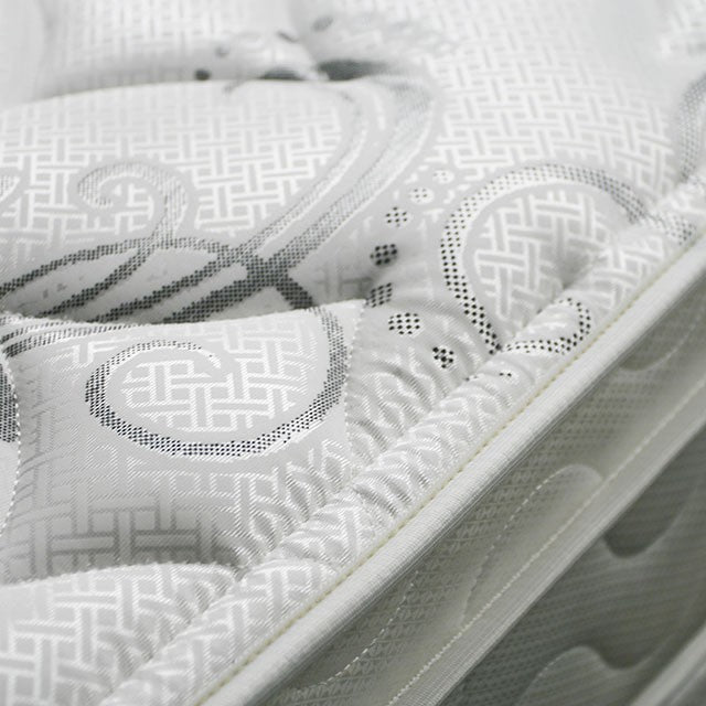 Jalen 9 Euro Top Mattress Non-Flip - Casa Morelos / Coahuila Furniture (Oklahoma City, OK)