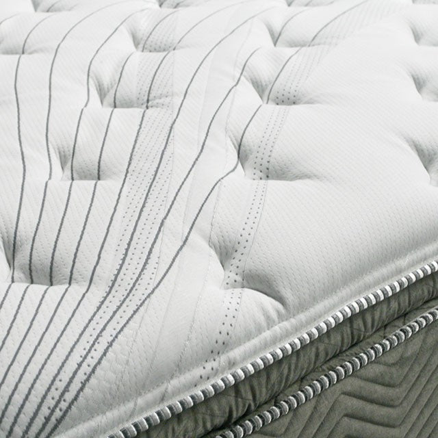 Stormin 13 Euro Pillow Top Gel Infused Memory Foam - Casa Morelos / Coahuila Furniture (Oklahoma City, OK)