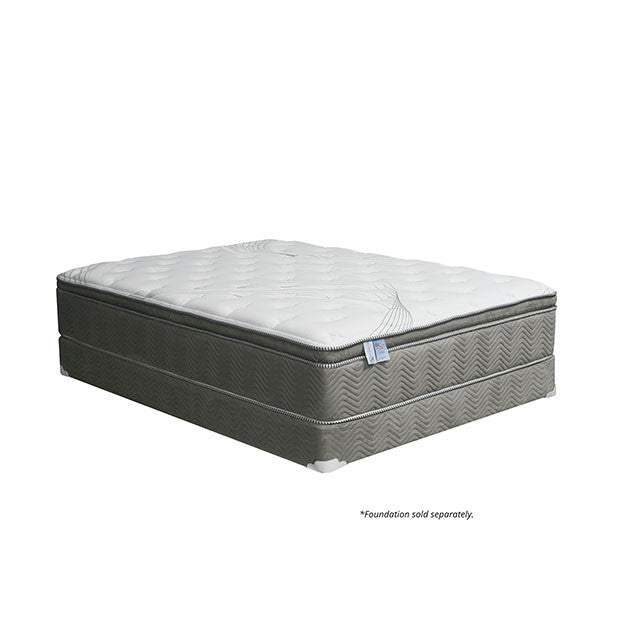 Stormin 13 Euro Pillow Top Gel Infused Memory Foam - Casa Morelos / Coahuila Furniture (Oklahoma City, OK)