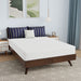 Nasturtium 8" Full Bamboo Charcoal Infused Memory Foam - Casa Morelos / Coahuila Furniture (Oklahoma City, OK)