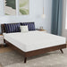Nasturtium Mattress - Casa Morelos / Coahuila Furniture (Oklahoma City, OK)