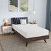 Nasturtium 8" Twin Bamboo Charcoal Infused Memory Foam - Casa Morelos / Coahuila Furniture (Oklahoma City, OK)