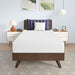 Nasturtium 8" Twin Bamboo Charcoal Infused Memory Foam - Casa Morelos / Coahuila Furniture (Oklahoma City, OK)