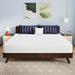 Nasturtium 10" E.King Bamboo Charcoal Infused Memory Foam - Casa Morelos / Coahuila Furniture (Oklahoma City, OK)