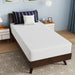 Nasturtium 10" Twin Bamboo Charcoal Infused Memory Foam - Casa Morelos / Coahuila Furniture (Oklahoma City, OK)