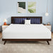 Nasturtium 12" E.King Bamboo Charcoal Infused Memory Foam - Casa Morelos / Coahuila Furniture (Oklahoma City, OK)
