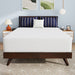 Nasturtium 12" Full Bamboo Charcoal Infused Memory Foam - Casa Morelos / Coahuila Furniture (Oklahoma City, OK)